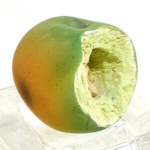 Clarecraft Sculpted Resin Apple Hidden Tiny Human Figurine Inside Fantasy Adult